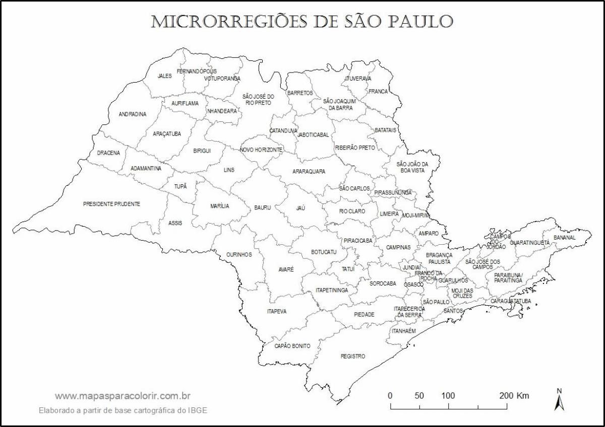 Mapa de São Paulo virgem - micro-regiões