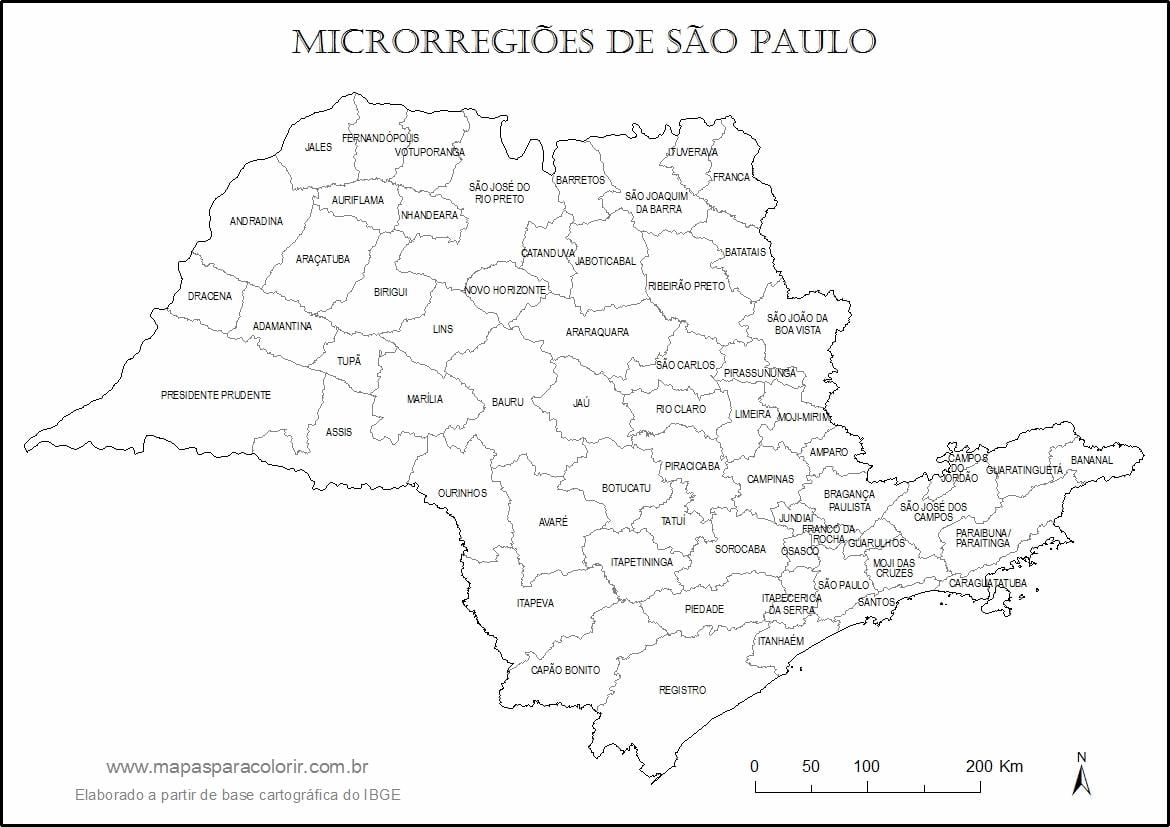 Mapa de São Paulo virgem - micro-regiões